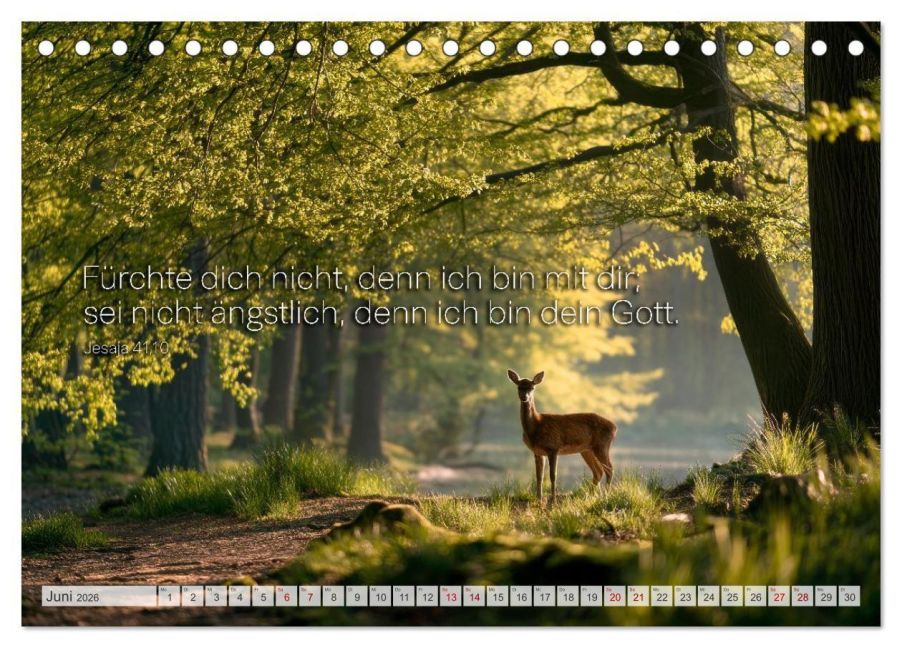 InsideView 11