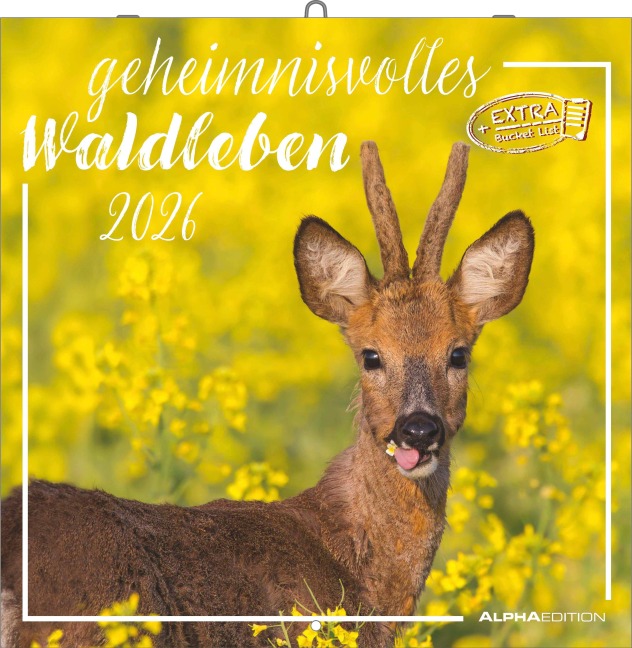 Geheimnisvolles Waldleben 2026 - Broschürenkalender 30x30 cm (30x60 geöffnet) - Kalender mit Platz für Notizen - Forest Animals - Bildkalender - Wandkalender - 