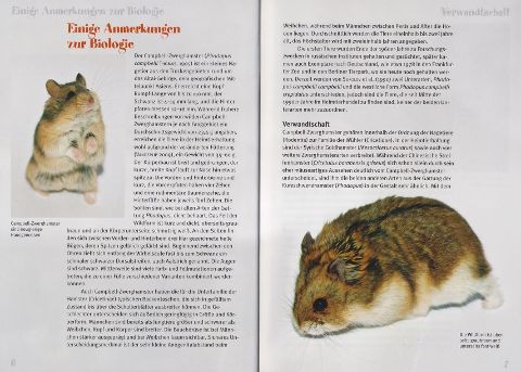 InsideView 1