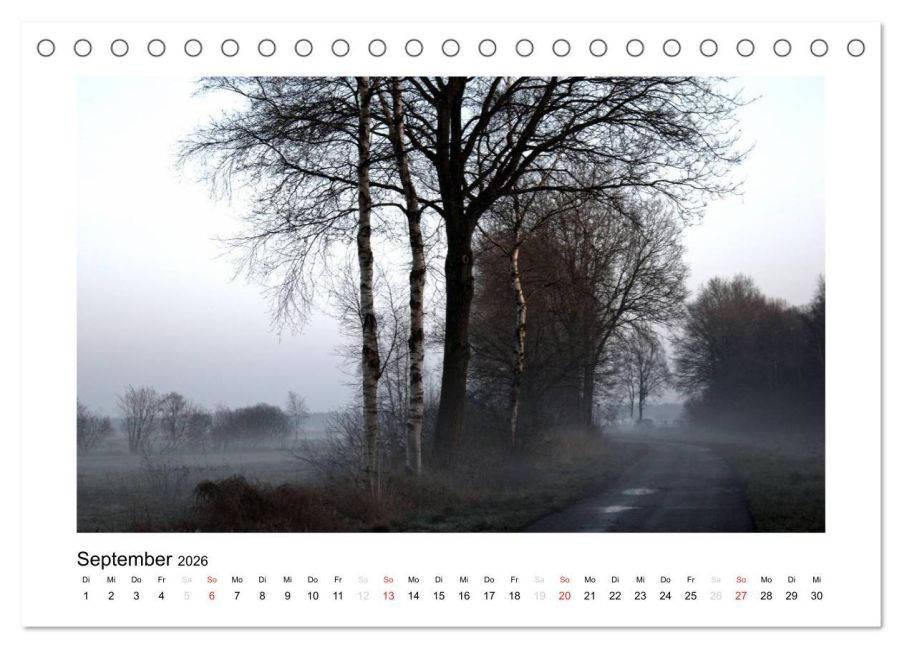 InsideView 14