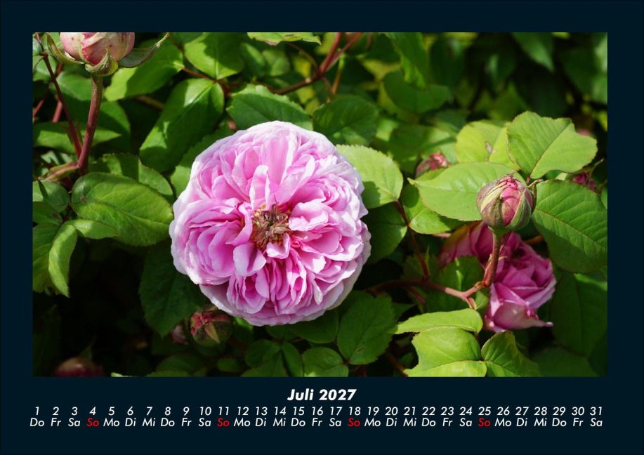 InsideView 11