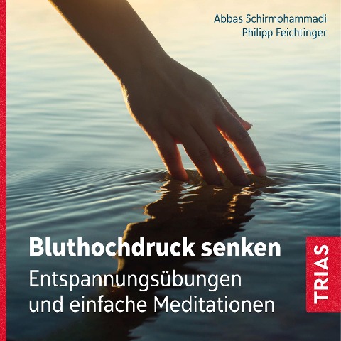 Bluthochdruck senken - Philipp Feichtinger, Abbas Schirmohammadi