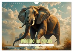 Cover-Bild zum Titel 'Wildlife im Fokus - Begegnungen auf Augenhöhe (Wandkalender 2026 DIN A4 quer), CALVENDO Monatskalender' von 'Babett Paul - Babetts Bildergalerie'