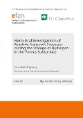 Cover-Bild zum Titel 'Numerical Investigations of Reactive Transport Processes during the Storage of Hydrogen in the Porous Subsurface' von ''