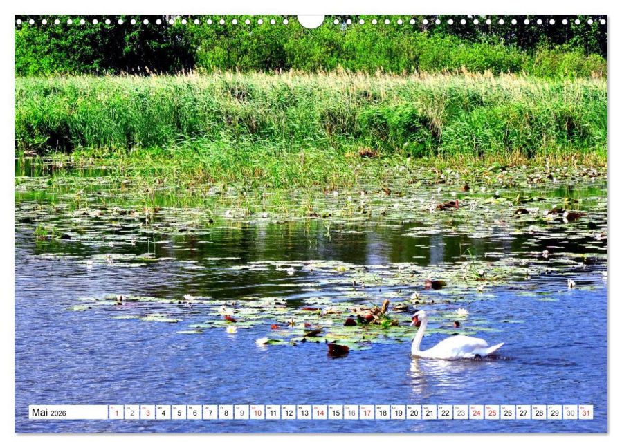 InsideView 10