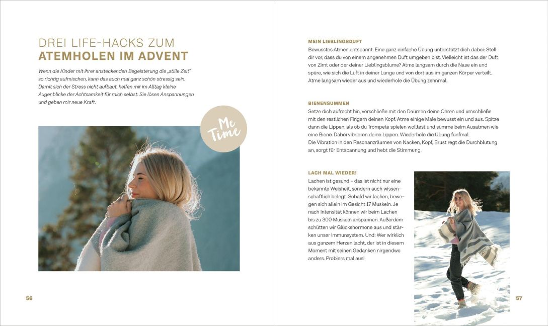 InsideView 4