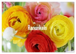 Cover-Bild zum Titel 'Ranunkeln (Wandkalender 2027 DIN A2 quer), CALVENDO Monatskalender' von 'Gisela Kruse'