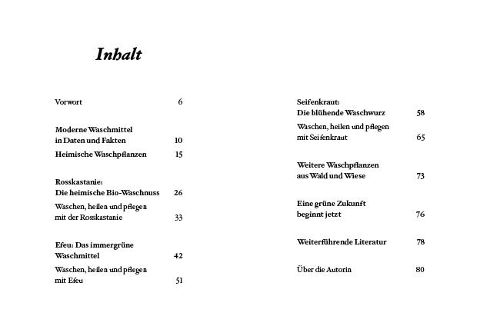 InsideView 1