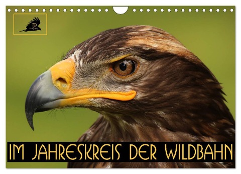 Im Jahreskreis der Wildbahn (Wandkalender 2024 DIN A4 quer), CALVENDO Monatskalender - Dirk Stamm
