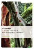 Cover-Bild zum Titel 'Cien anos de soledad - Estructura narrativa y temporal' von 'Dominik Daling'