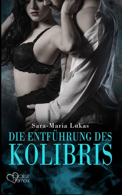 Hard & Heart 1: Die Entführung des Kolibris - Sara-Maria Lukas