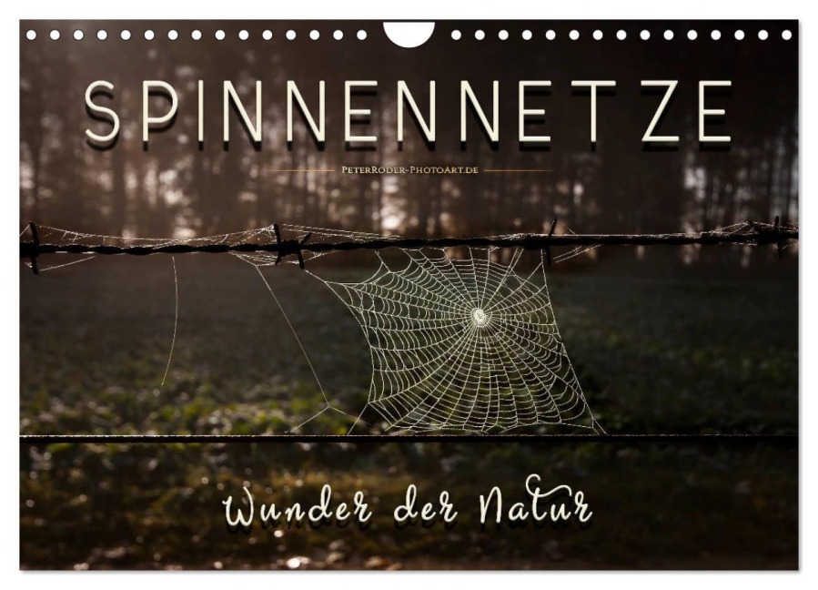 Spinnennetze - Wunder der Natur (Wandkalender 2026 DIN A4 quer), CALVENDO Monatskalender - Peter Roder