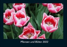 Pflanzen und Blüten 2022 Fotokalender DIN A4 - Tobias Becker