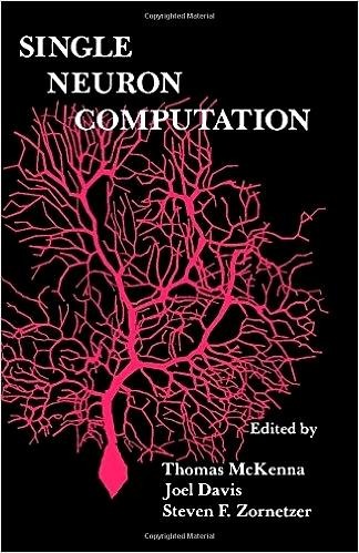 Single Neuron Computation - 
