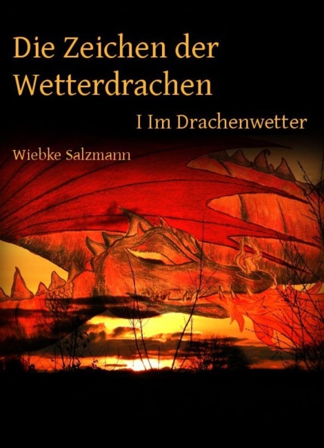 Die Zeichen der Wetterdrachen - Wiebke Salzmann