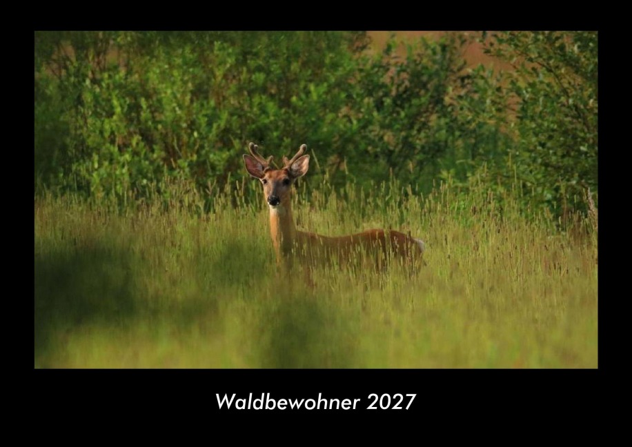 Waldbewohner 2027 Fotokalender DIN A3 - Tobias Becker