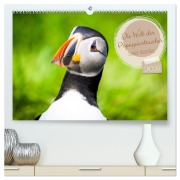 Cover-Bild zum Titel 'Die Welt der Papageientaucher - Islands Wildvögel (hochwertiger Premium Wandkalender 2027 DIN A2 quer), Kunstdruck in Hochglanz' von 'Dennis Westermann'