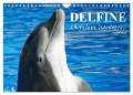 Delfine - Lächelnde Intelligenz (Wandkalender 2024 DIN A4 quer), CALVENDO Monatskalender - Elisabeth Stanzer
