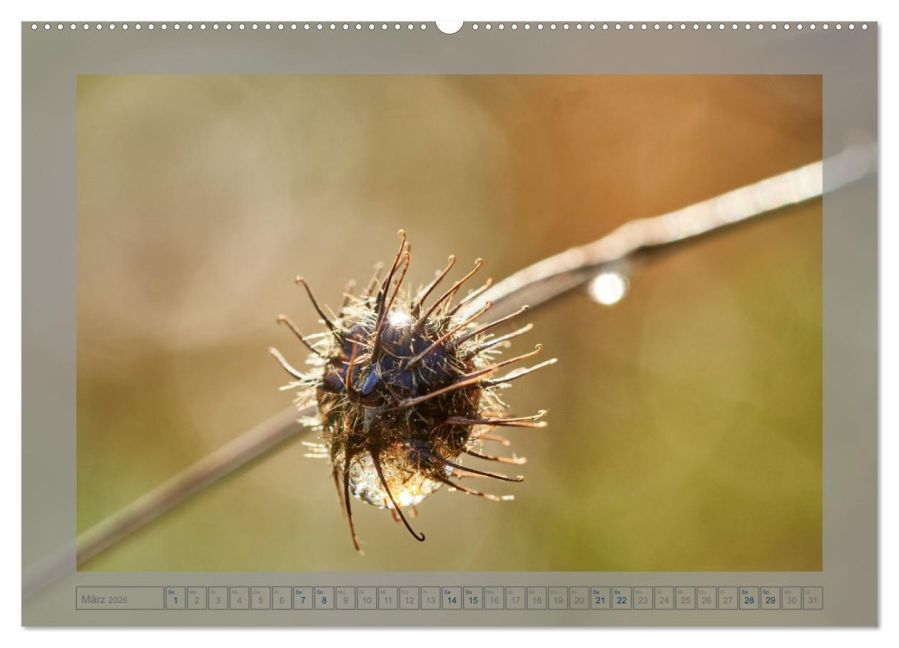 InsideView 8