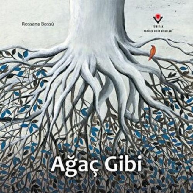 Agac Gibi - Rossana Bossu