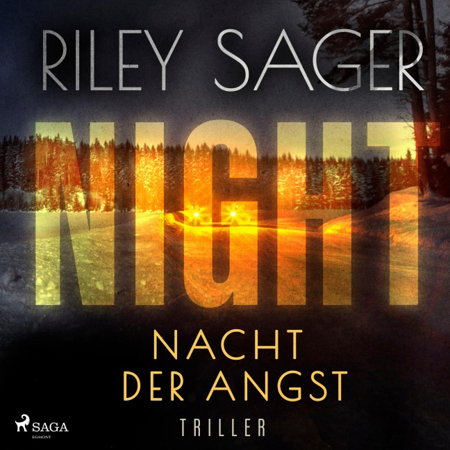 NIGHT ¿ Nacht der Angst - Riley Sager