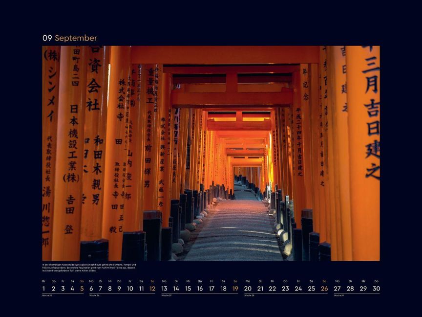 InsideView 11
