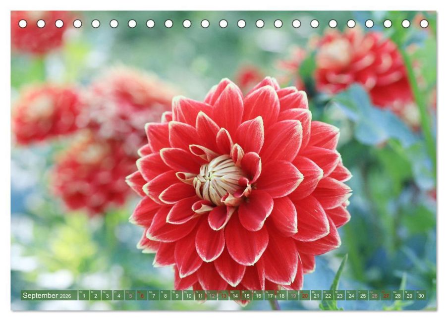 InsideView 14
