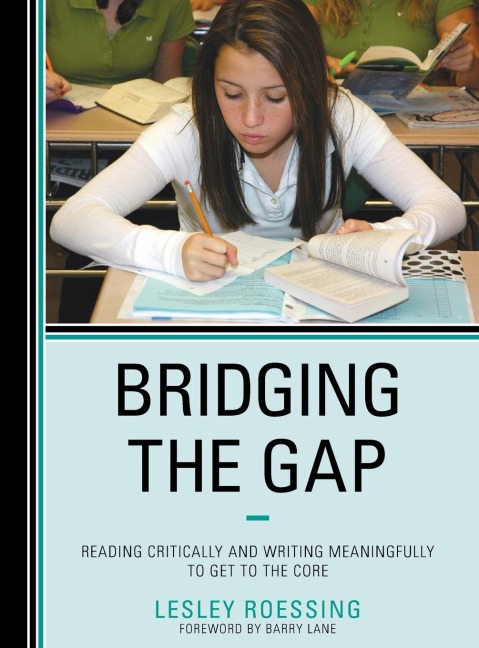 Bridging the Gap - Lesley Roessing
