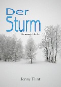 Cover-Bild zum Titel 'Der Sturm' von 'Jenny Flint'