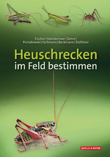 Heuschrecken im Feld bestimmen - Jürgen Fischer, Daniela Steinlechner, Andreas Zehm, Dominik Poniatowski, Thomas Fartmann