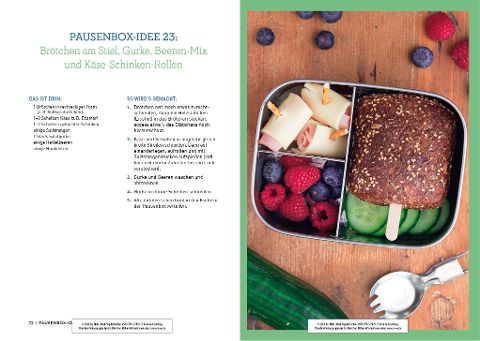 InsideView 4