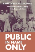 Cover-Bild zum Titel 'Public in Name Only' von 'Brenda Mitchell-Powell'