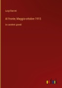 Cover-Bild zum Titel 'Al fronte; Maggio-ottobre 1915' von 'Luigi Barzini'
