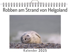 Cover-Bild zum Titel 'Robben am Strand von Helgoland' von 'Lucy König'