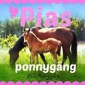 Cover-Bild zum Titel 'Pias ponnygäng' von 'Eva Berggren'
