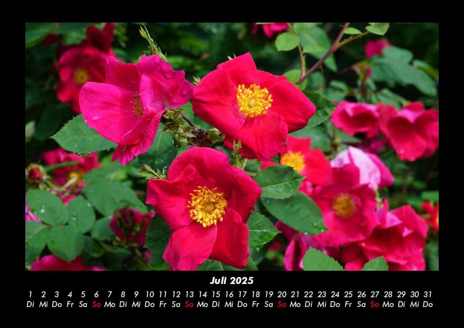 InsideView 11