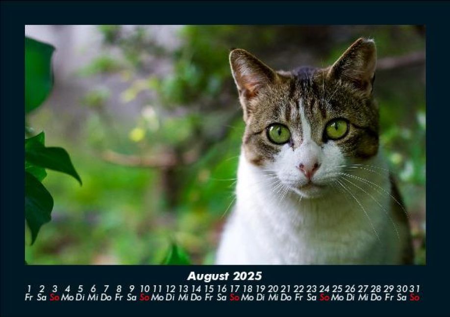 InsideView 12