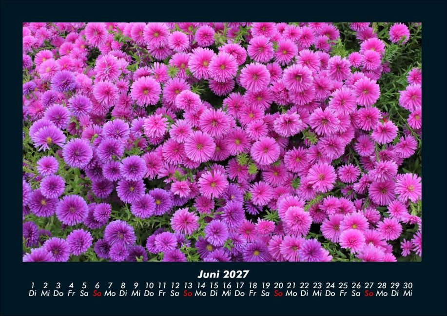 InsideView 10