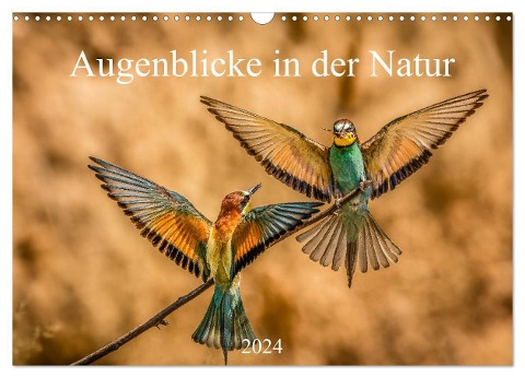 Augenblicke in der Natur (Wandkalender 2024 DIN A3 quer), CALVENDO Monatskalender - Philipp Masserer