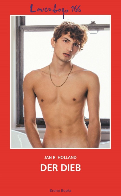 Loverboys 166: Der Dieb - Jan R. Holland