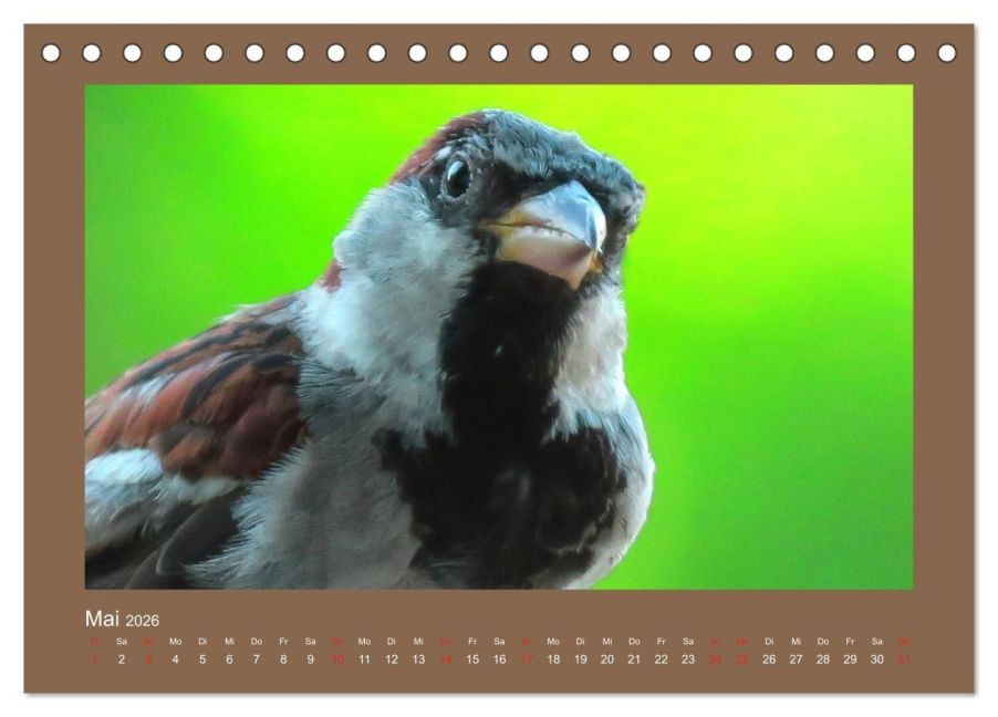 InsideView 10