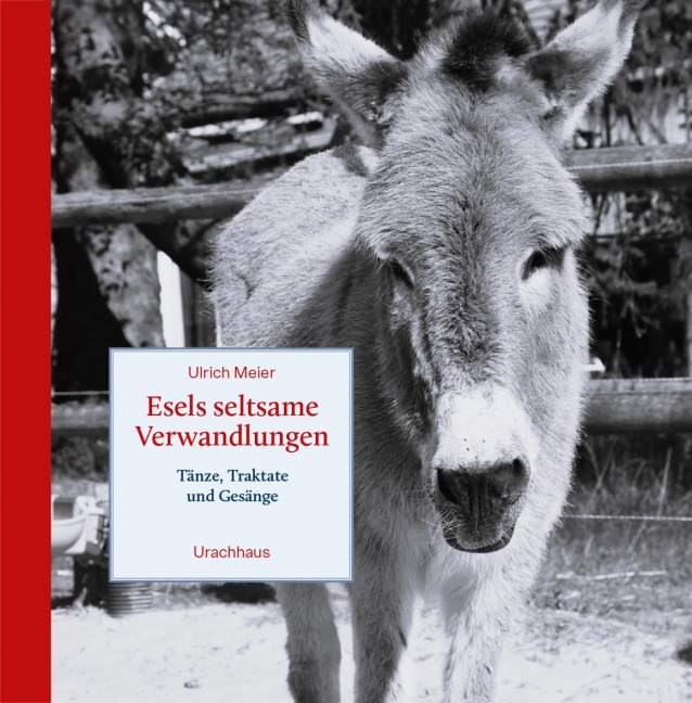 Esels seltsame Verwandlungen - Ulrich Meier