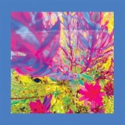 Cover-Bild zum Titel 'The Past is a Garden I Never Fed' von 'Pinks And Purples Reds'