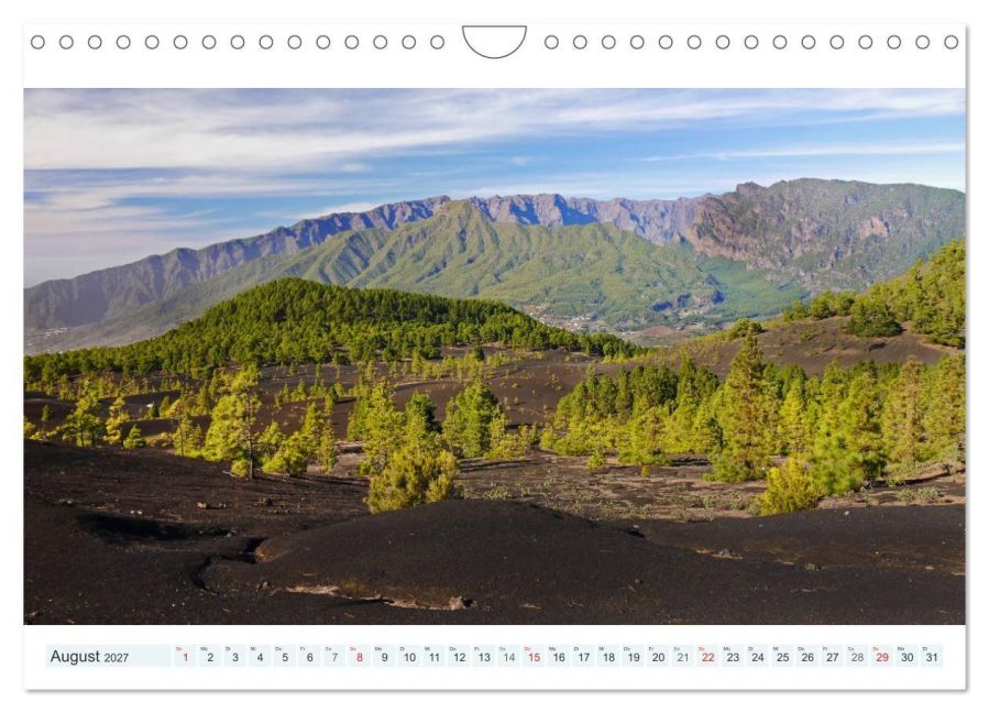 InsideView 13