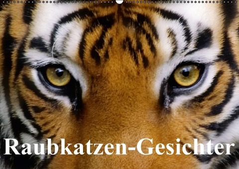 Raubkatzen-Gesichter (Wandkalender immerwährend DIN A2 quer) - Elisabeth Stanzer