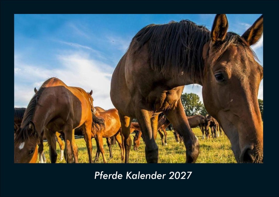 Pferde Kalender 2027 Fotokalender DIN A4 - Tobias Schmitt, Kevin Heber