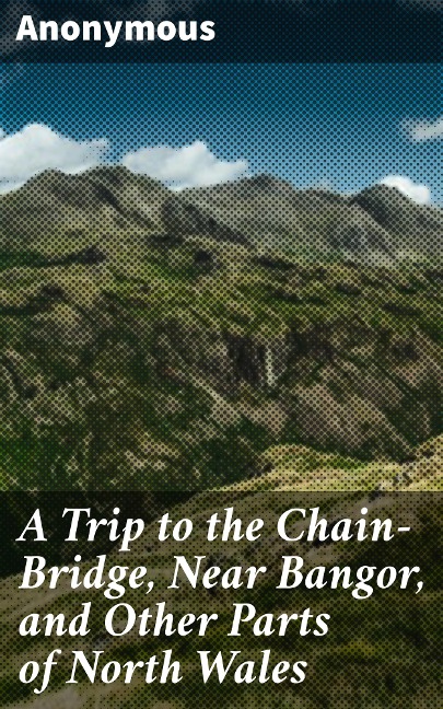 A Trip to the Chain-Bridge, Near Bangor, and Other Parts of North Wales - Anonymous
