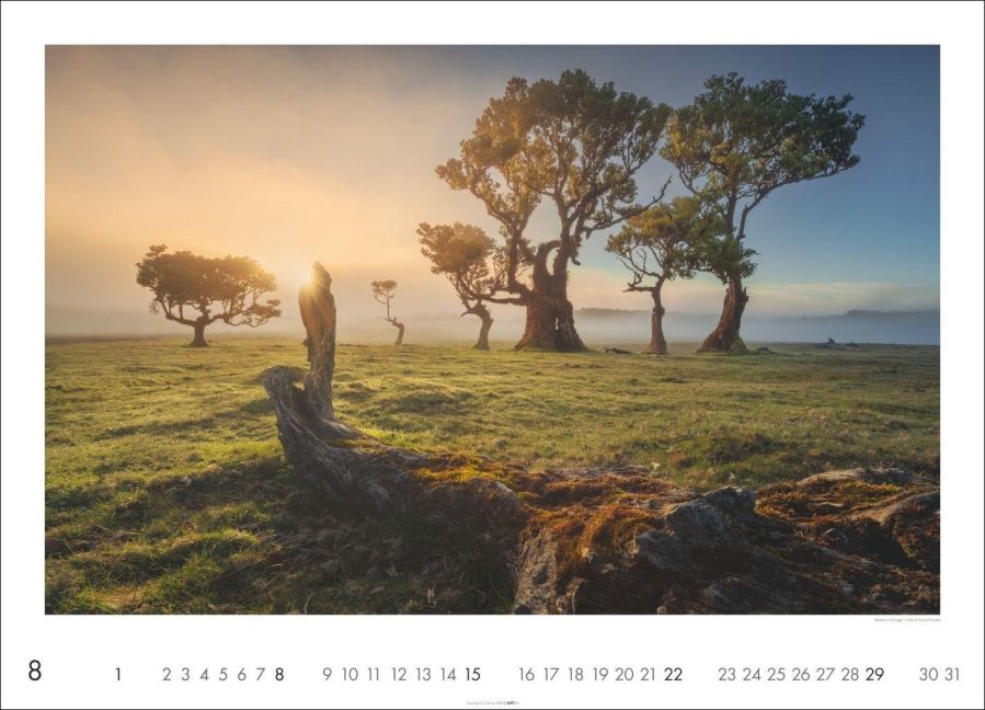 InsideView 8