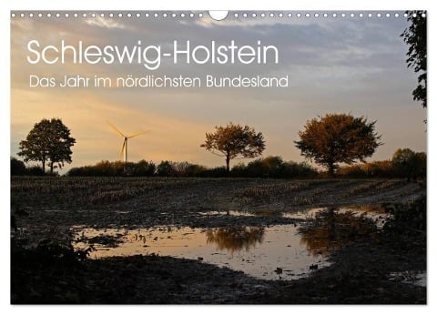 Schleswig-Holstein (Wandkalender 2024 DIN A3 quer), CALVENDO Monatskalender - Ralf Thomsen