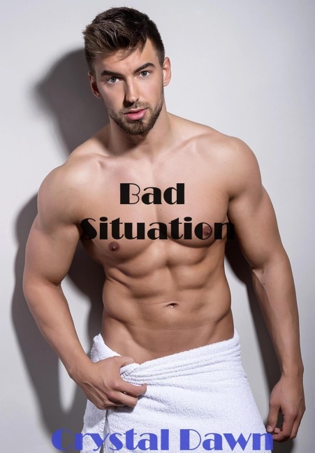 Bad Situation (Wolf Investigations and Securities Inc., #6) - Crystal Dawn